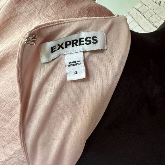 Express mini dress size 4 rose gold flared skirt - Picture 4 of 4